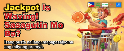 Premium Casino Gaming Experience